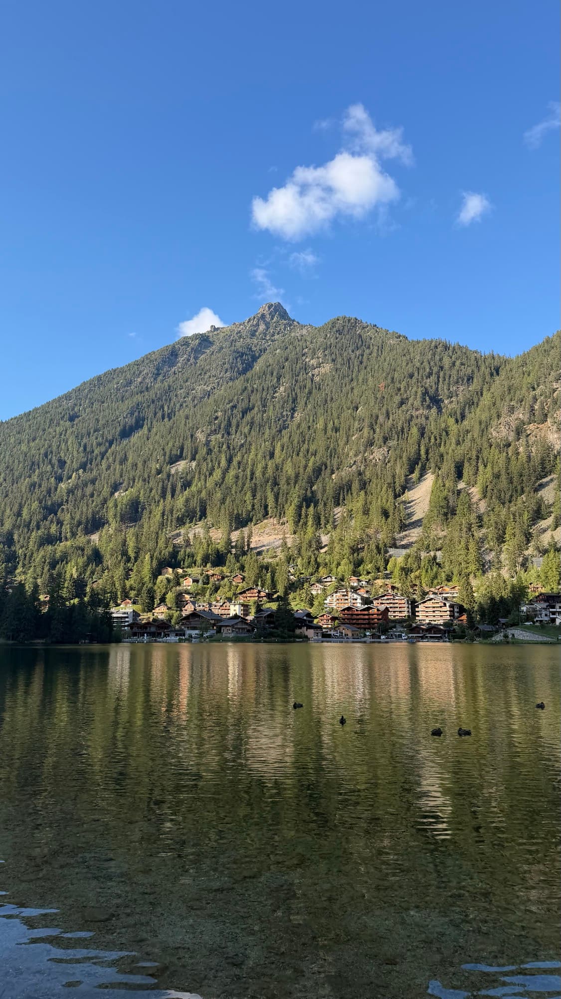 Tour du Mont-Blanc — photo 18