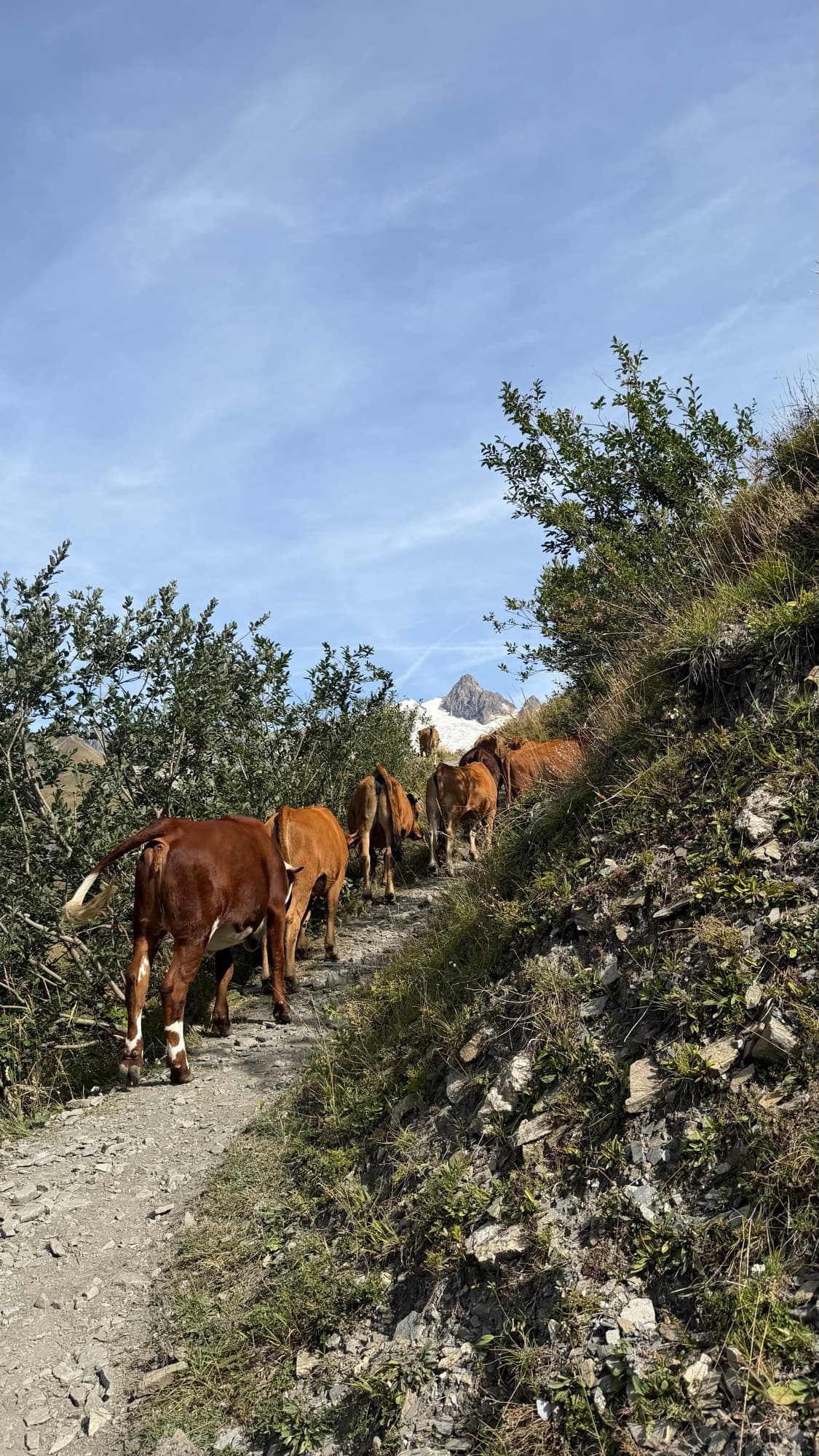 Tour du Mont-Blanc — photo 7